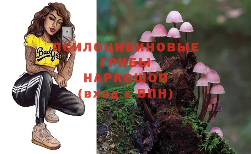 ссылка на мегу маркетплейс  Лысково  Галлюциногенные грибы Psilocybe  закладки 